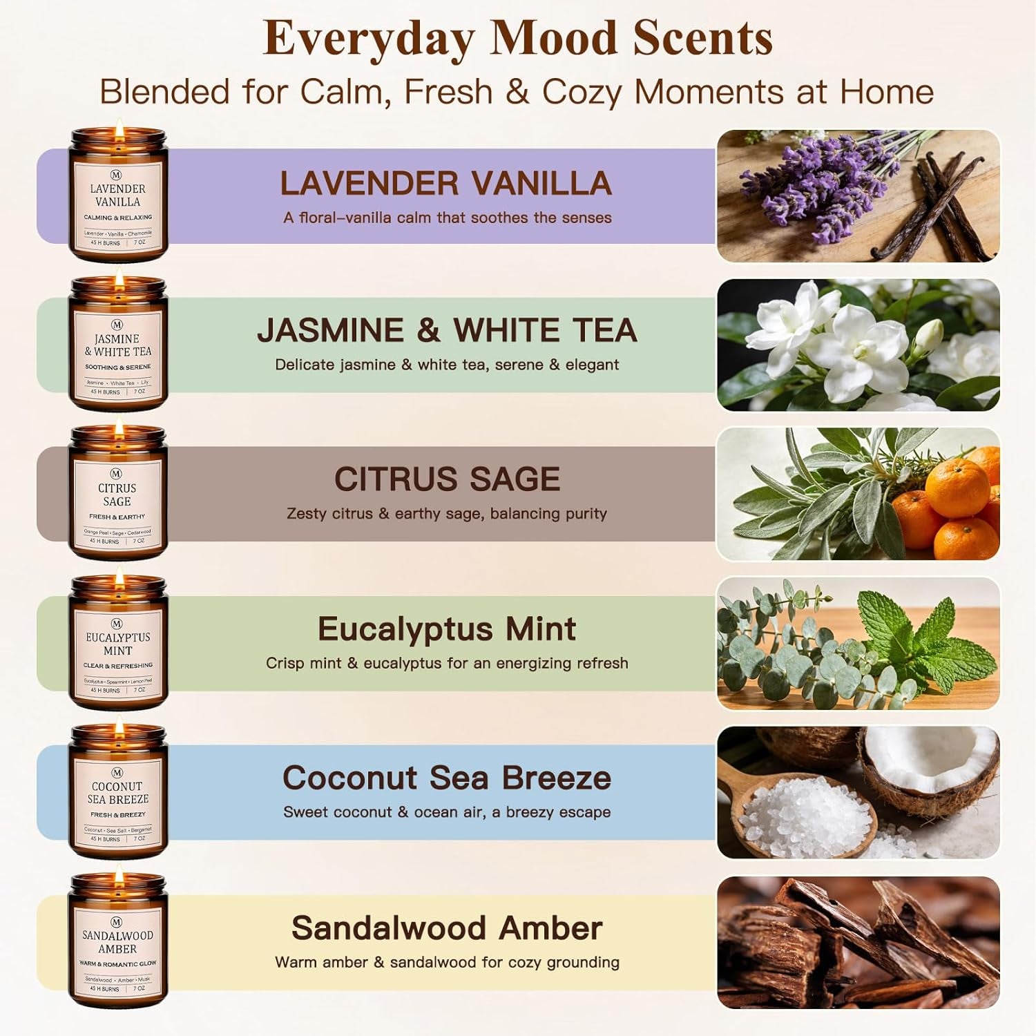6-Pack Scented Soy Candle Set – Lavender Vanilla, Eucalyptus, Sandalwood, Jasmine & White Tea, Coconut, Sage | Natural Soy Wax Spring Summer Aromatherapy Candles for Home, Vacation, Relaxation & Spa